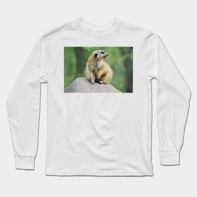 Meerkat Long Sleeve T-Shirt by DeVerviers